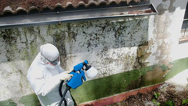 Top rated local Mold Removal specialists in Westwood, KY